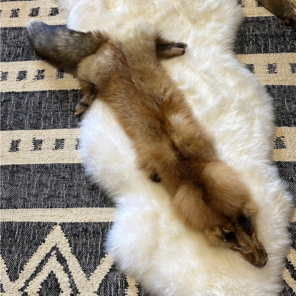 Luxurious Full Red Fox Pelt